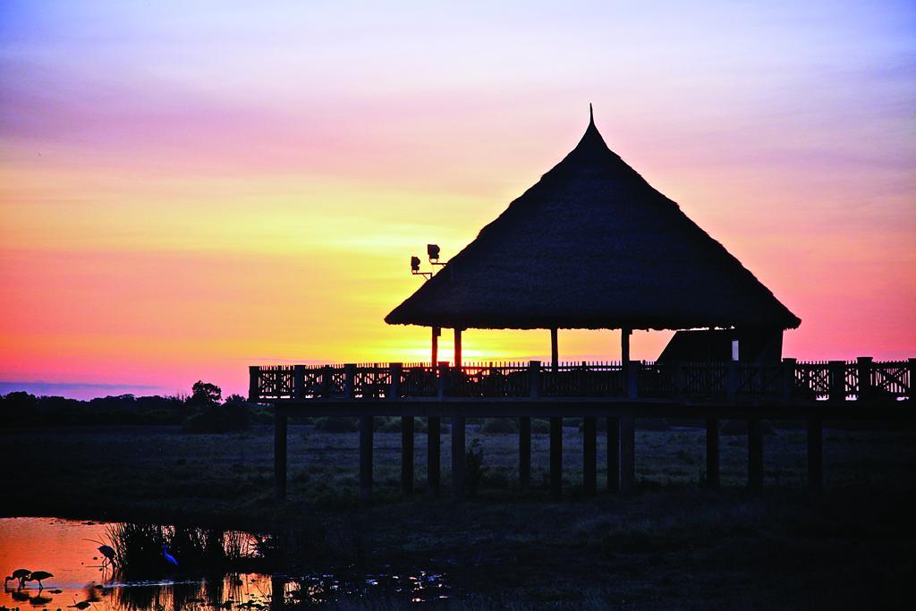 Voi Wildlife Lodge Exterior photo