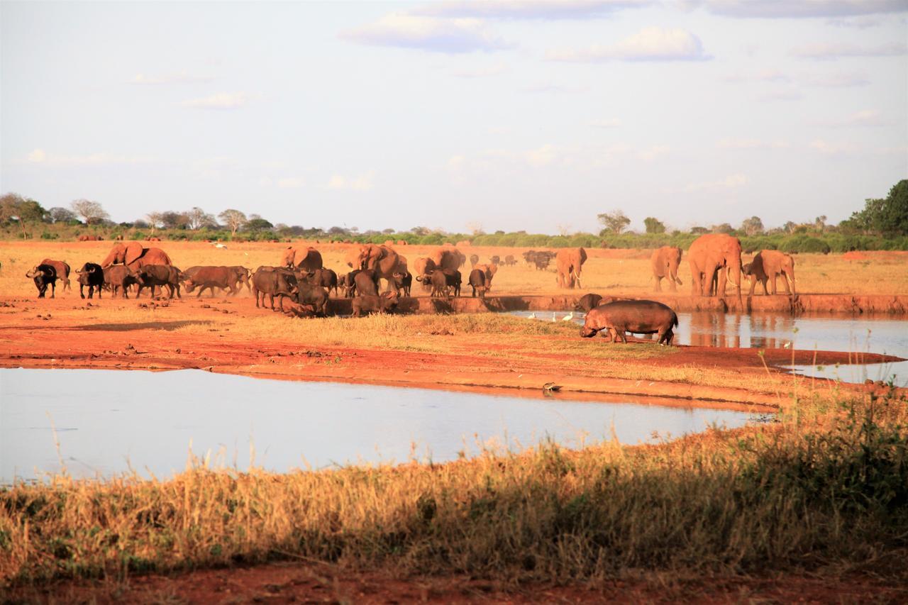 Voi Wildlife Lodge Exterior photo