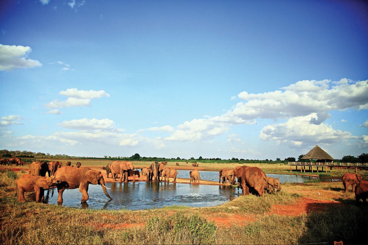 Voi Wildlife Lodge Exterior photo