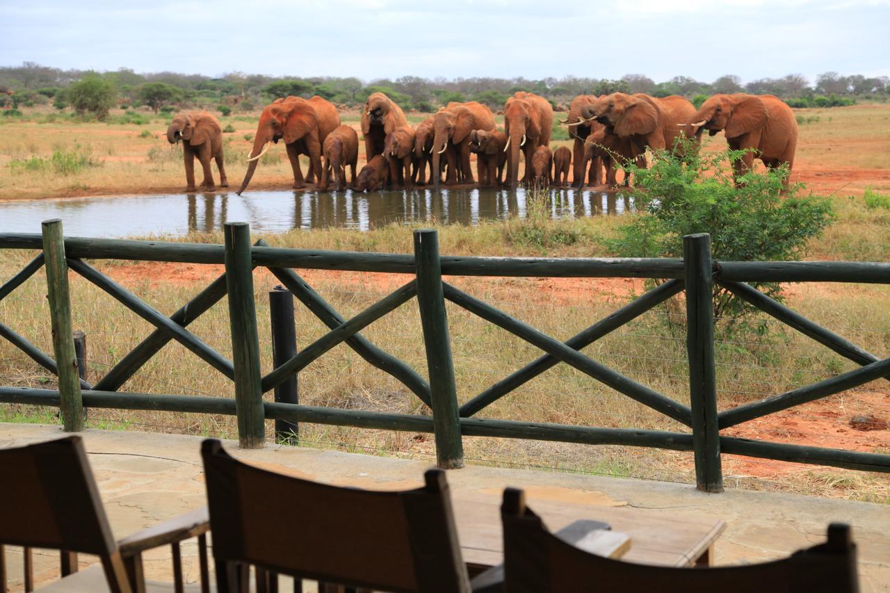 Voi Wildlife Lodge Exterior photo