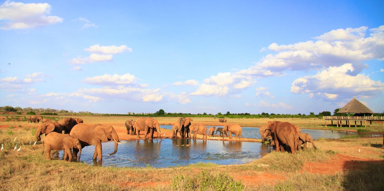 Voi Wildlife Lodge Exterior photo